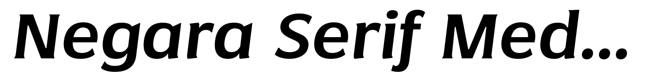 Negara Serif Medium Italic